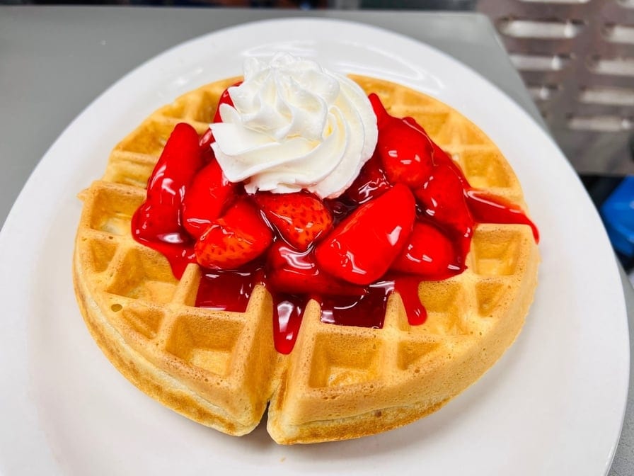 Malted Belgian Waffle.